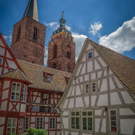Steinhaeuser Hof Neustadt an der Weinstraße Esterno foto
