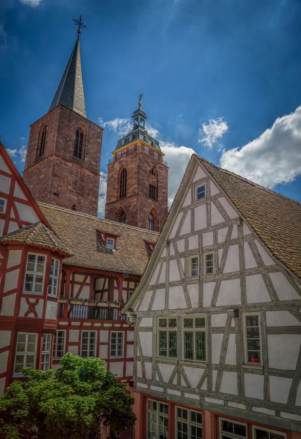 Steinhaeuser Hof Neustadt an der Weinstraße Esterno foto