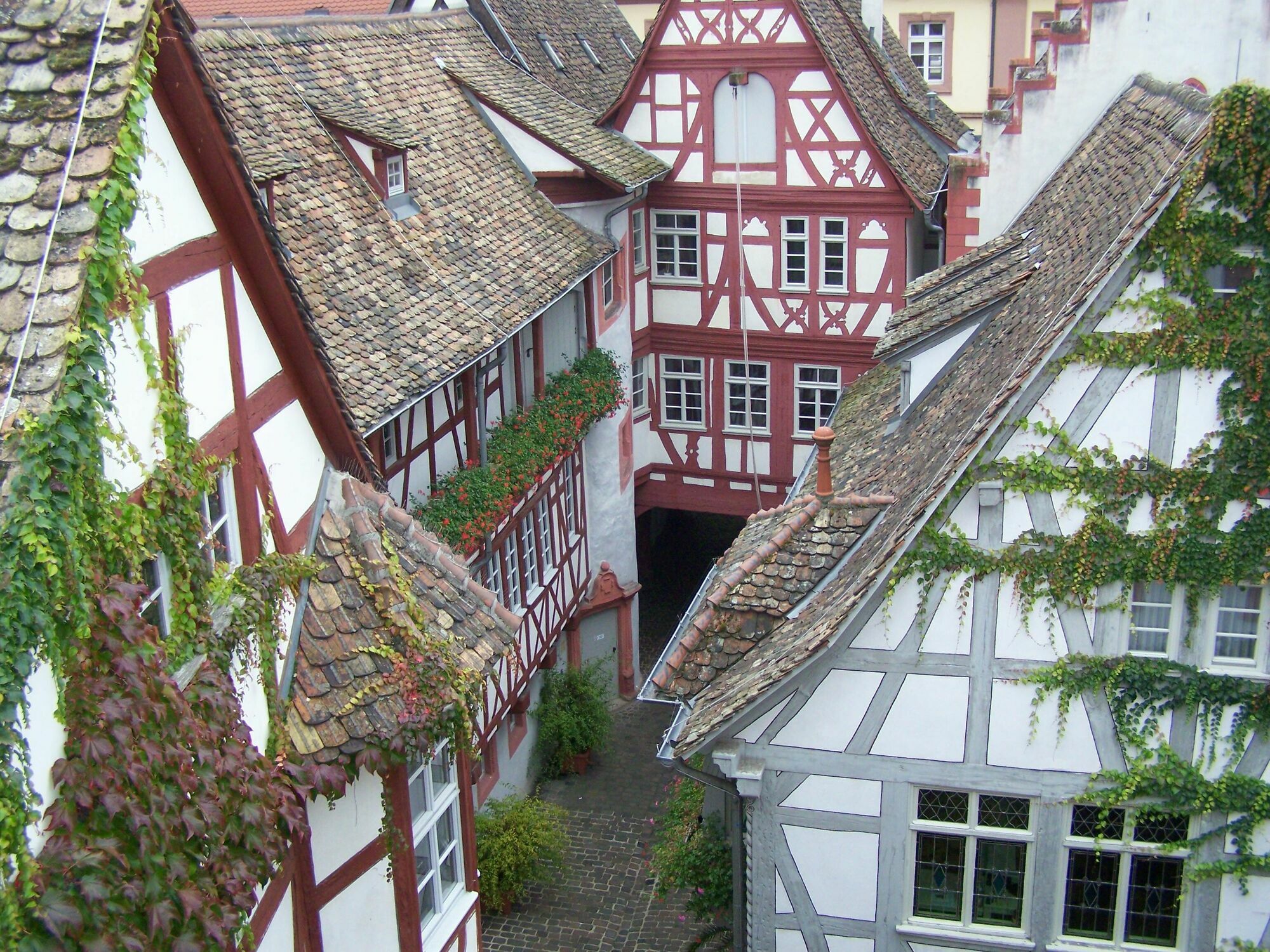 Steinhaeuser Hof Neustadt an der Weinstraße Esterno foto